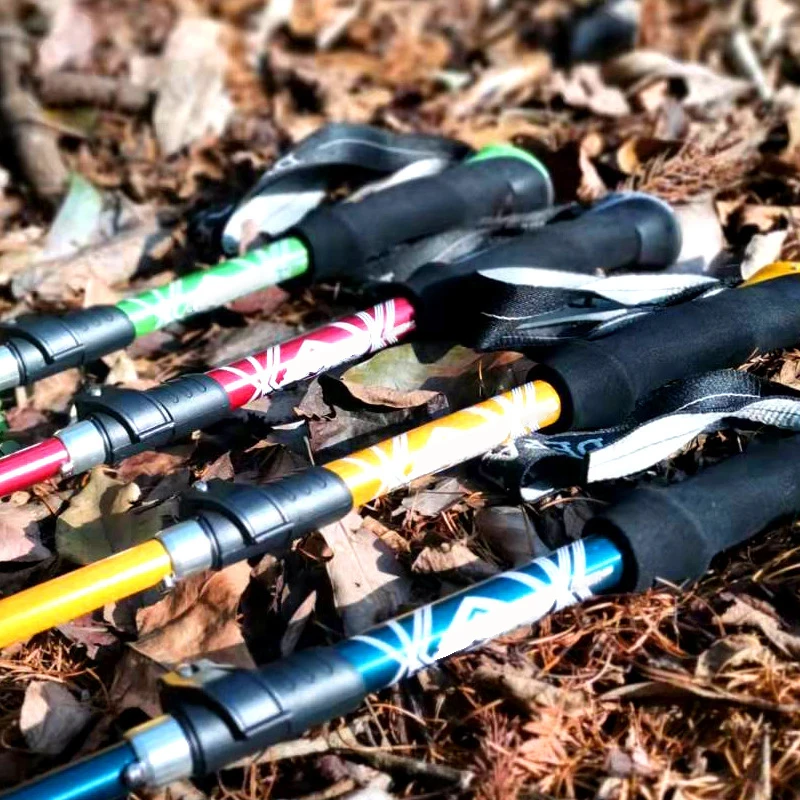 5 Section Outdoor Fold Trekkin - đánh giá và giá Trekking Pole Carbon