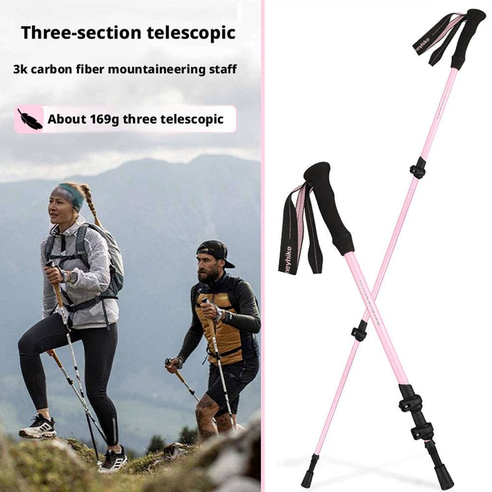 Ultralight Foldable 3-sections - đánh giá và giá Trekking Pole Carbon