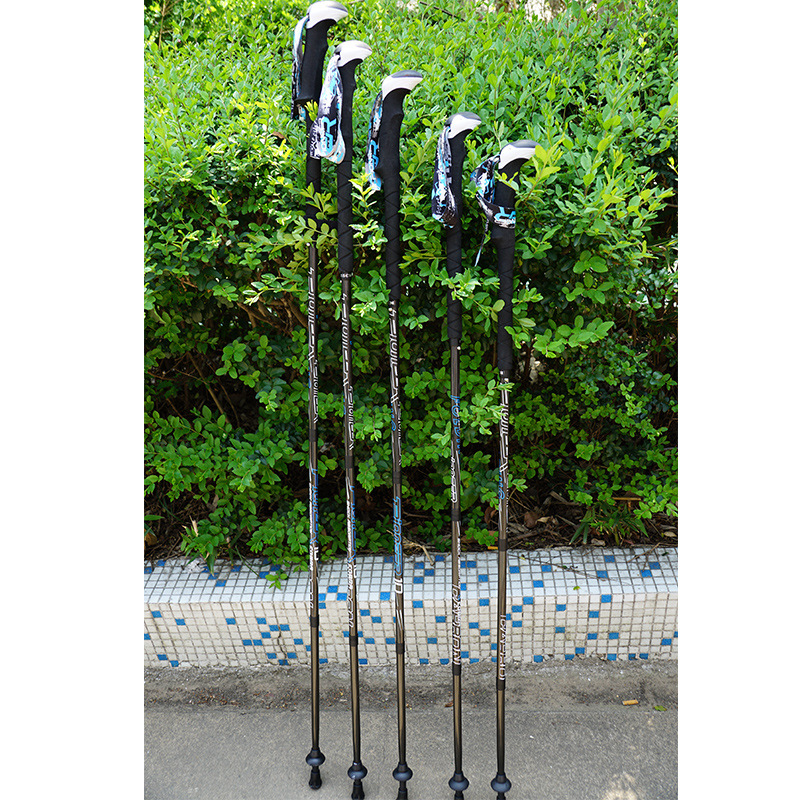 Tiên Phong Sợi Carbon Leo Núi  - đánh giá và giá Trekking Pole Carbon